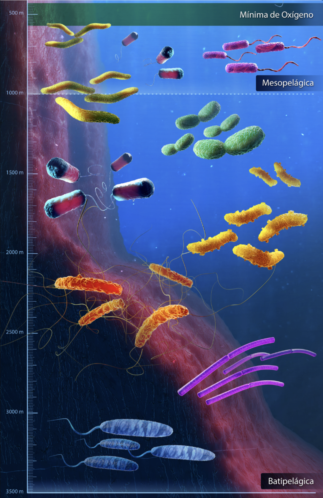 Visualización científica de microorganismos de aguas profundas del Golfo de México