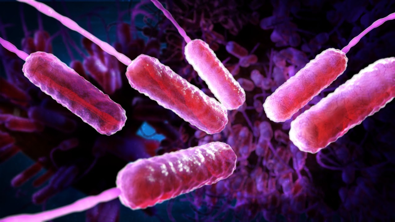 Tecnología Deep Sea Genomics